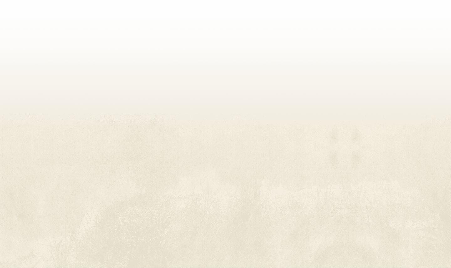Footer Pattern