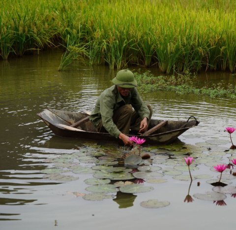 Tam Coc Garden - Where The Now Blooms