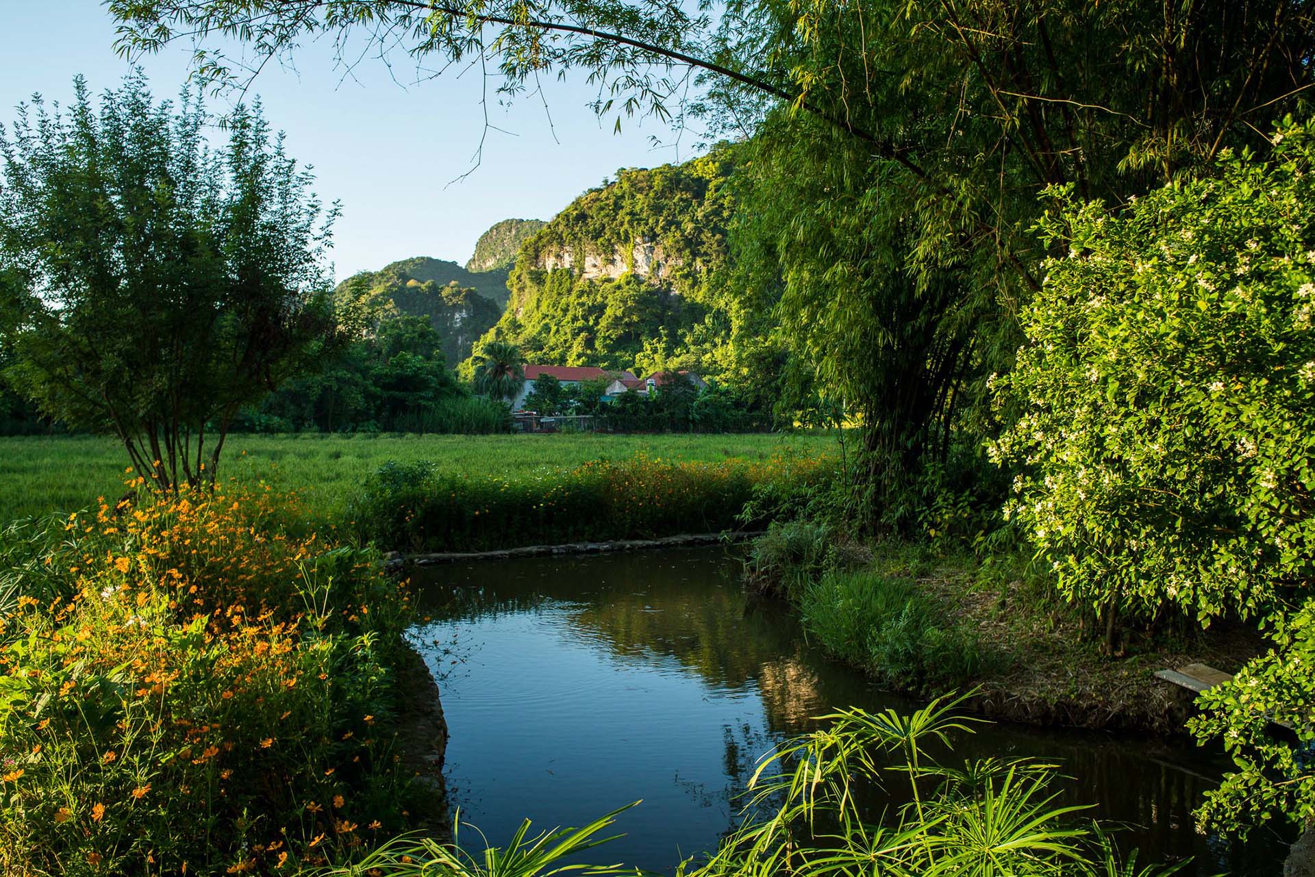 Notre Terre