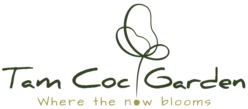 Tam Coc Garden - Where The Now Blooms
