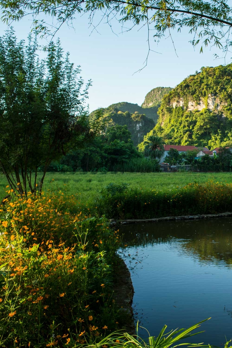 Tam Coc Garden - Where The Now Blooms