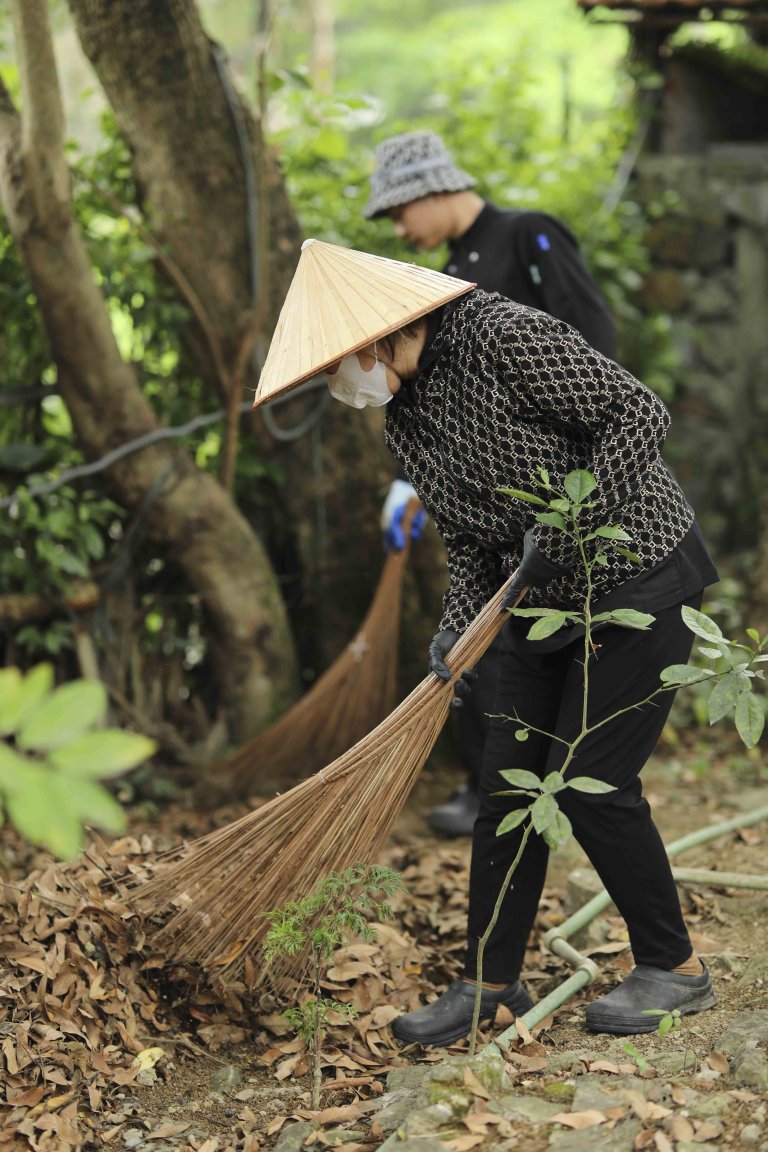 Waste Collection Day