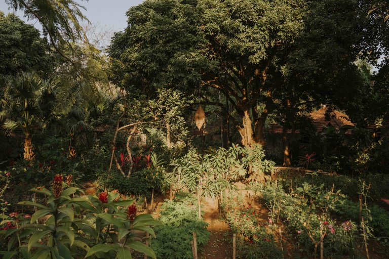 Tamcocgarden
